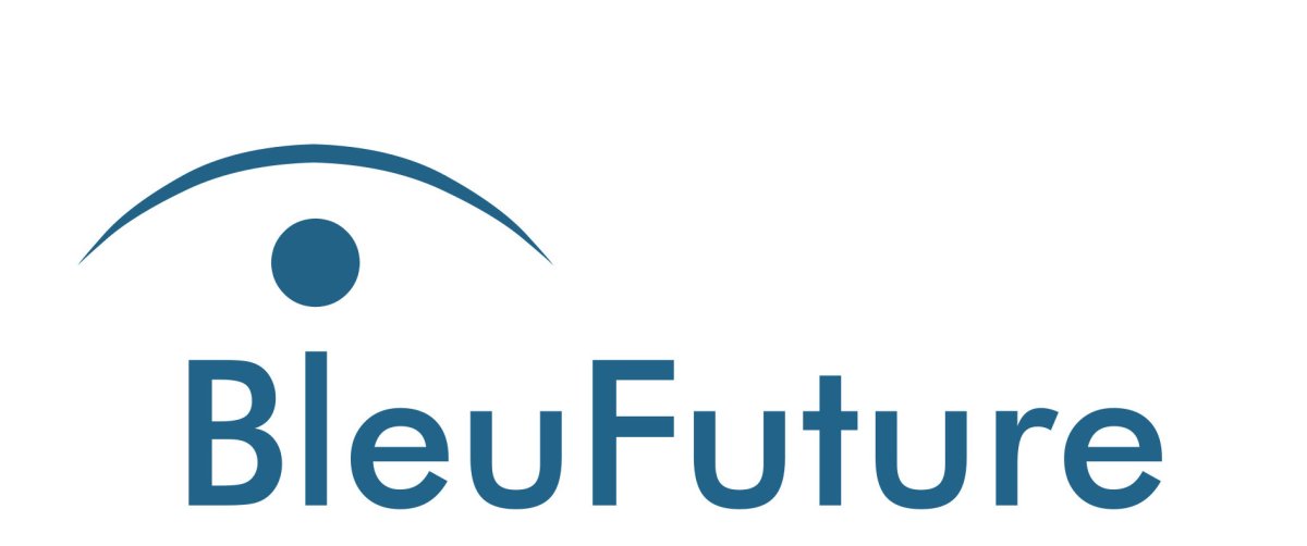 Bleufuture